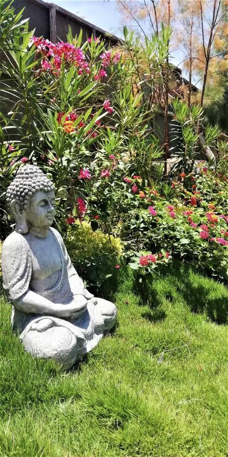 Puerto "Te" Hotel Mancora Ngoại thất bức ảnh